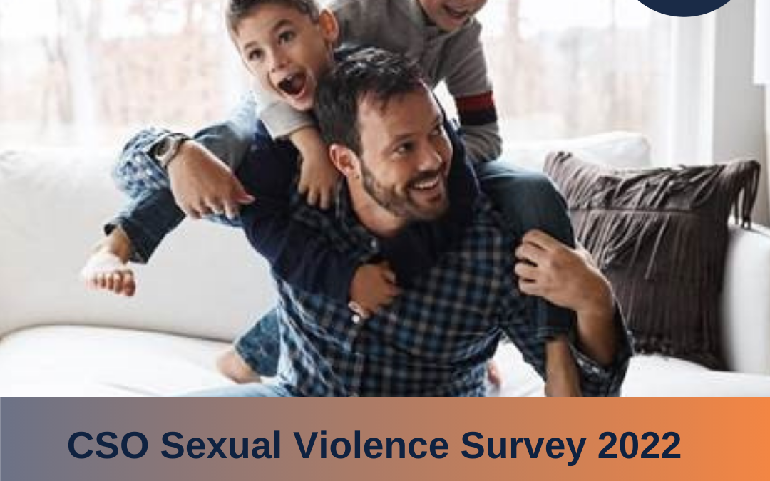Sexual Violence Survey 2022 – Main Results